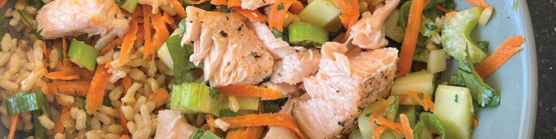 Japanese Salmon Rice Bowl | Vision Personal Training