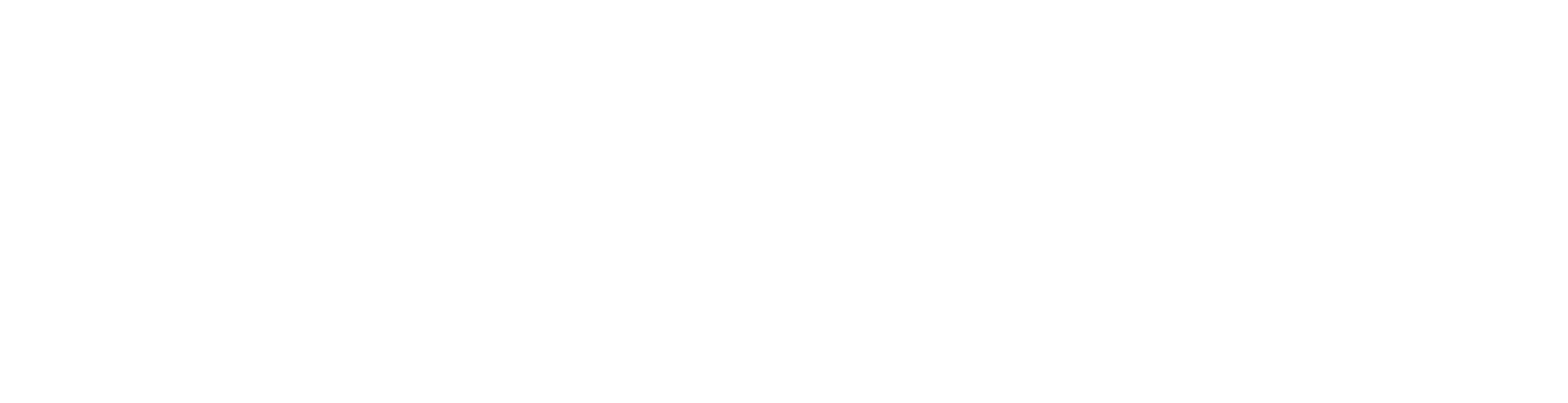 StrongHER logo
